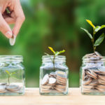 A man hand holding a coin over stacked coins in a glass jar and growing trees planted from the coins as a metaphor for financial growth.