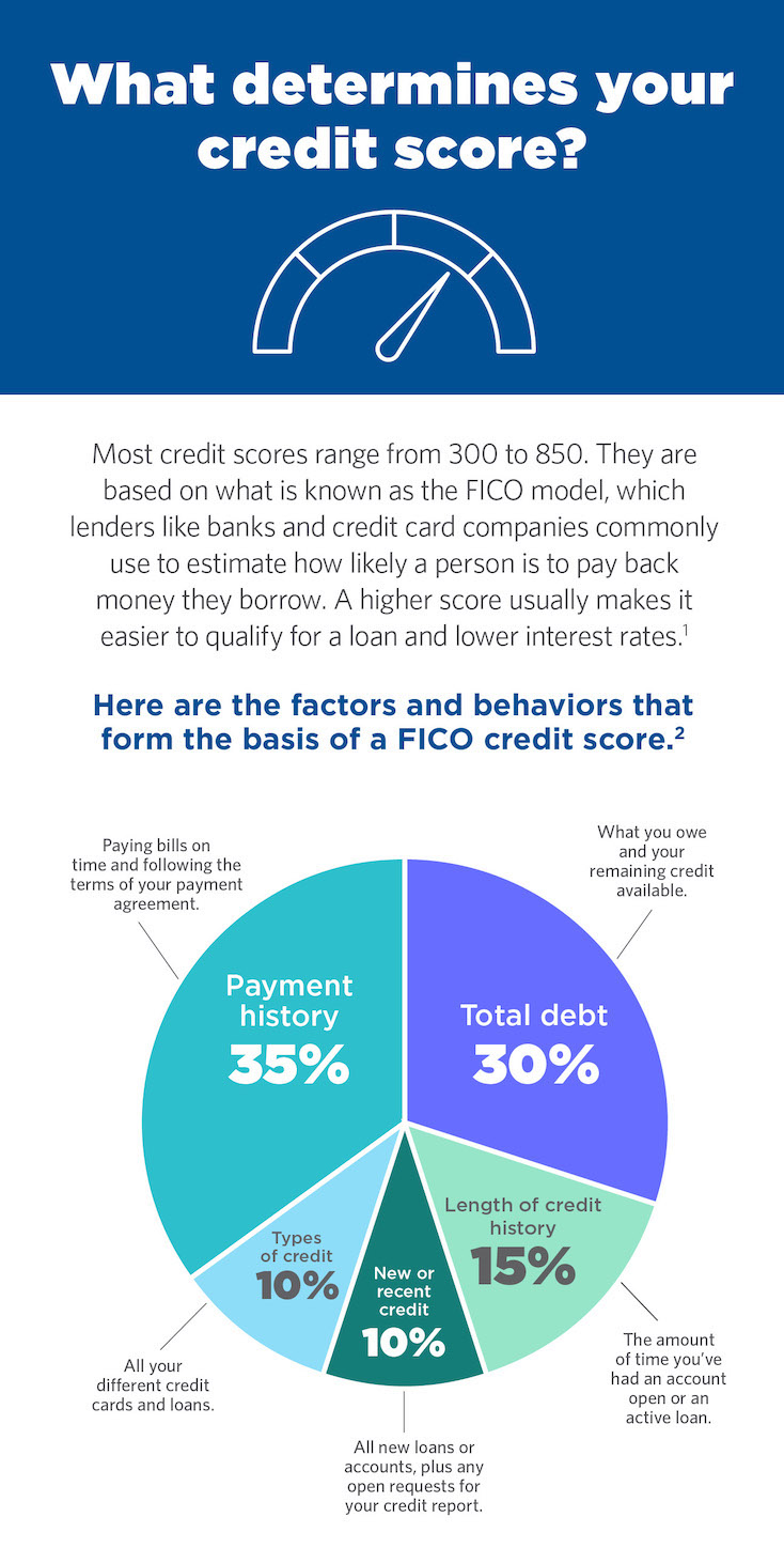 An infographic representing factors that determine an individual's credit score.

35% Payment history
30% Total debt
15% Length of credit history
10% New or recent credit
10% Types of credit